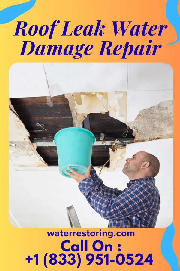 Roof Leak Water Damage Repair in Angleton, TX